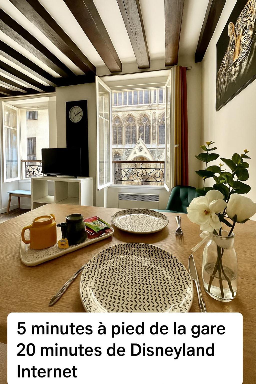 Appartement Vue Cathedrale- Centre Ville Meaux-Gare-Disney ภายนอก รูปภาพ